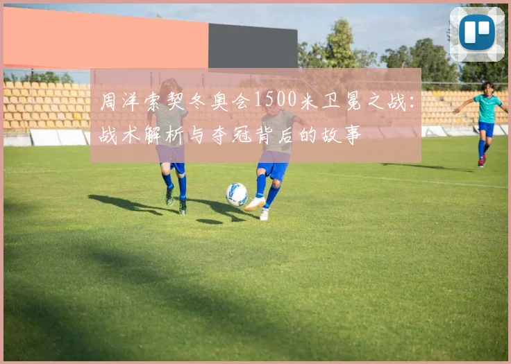 周洋索契冬奥会1500米卫冕之战：战术解析与夺冠背后的故事